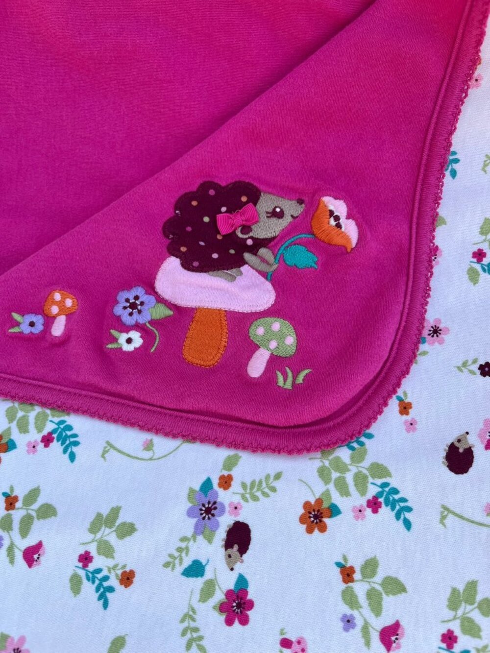 Y2K Gymboree Layette Happy Hedgehog Blanket
